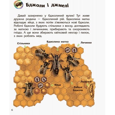 Енциклопедія дошкільника (нова) : Комахи Каспарова купити