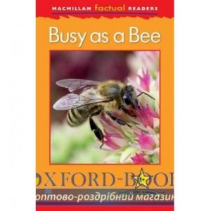 Книга Macmillan Factual Readers 1+ Busy as a Bee ISBN 9780230432055