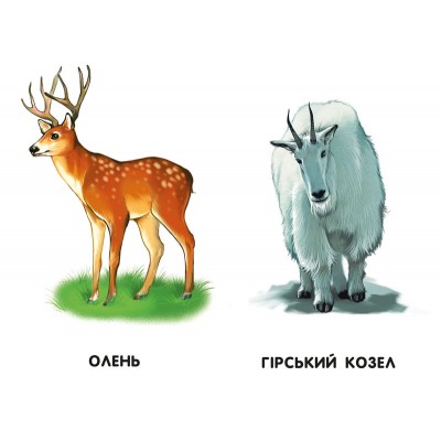 Бузкові книжки : Улюблені тварини заказать онлайн оптом Украина