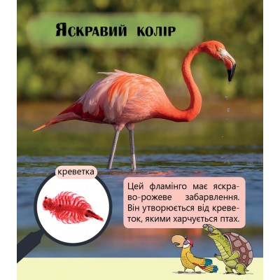 Перше читання Non Fiction : Фантастичні рослини і не тільки… Рівень 3 заказать онлайн оптом Украина