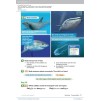 Підручник Guess What! Level 5 Pupils Book Reed, S ISBN 9781107545397 замовити онлайн