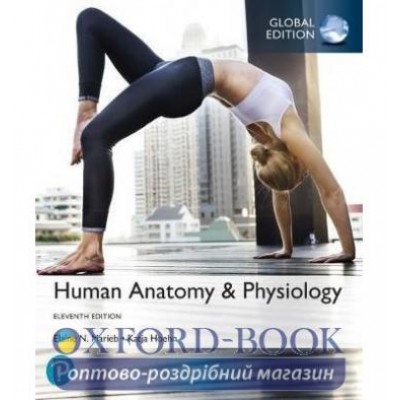 Книга Human Anatomy & Physiology, Global Edition ISBN 9781292260853 замовити онлайн