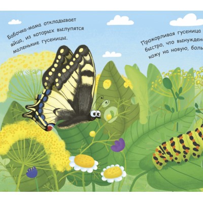 Моя перша енциклопедія: Как рождается бабочка? Булгакова заказать онлайн оптом Украина