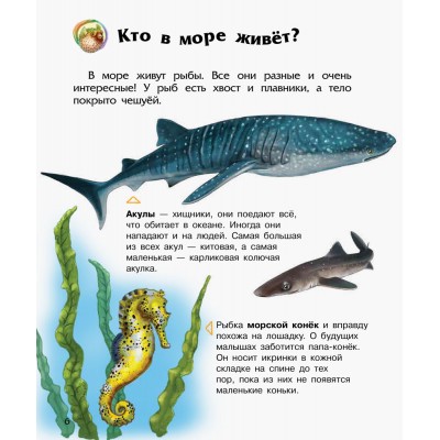 Енциклопедія дошкільника (нова): Океаны и моря Каспарова заказать онлайн оптом Украина