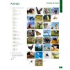 Підручник English File 3rd Edition Pre-Intermediate Students Book ISBN 9780194598576 замовити онлайн