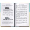 Книга The Little Prince Antoine de Saint-Exupery ISBN 9781909621565 замовити онлайн