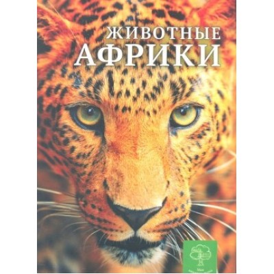 Тварини Африки Моя книжкова полиця Павловська К. купити