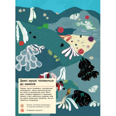 Моя книга природи : На березі моря Amaterra замовити онлайн