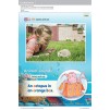 Підручник Guess What! Level 1 Pupils Book Reed, S ISBN 9781107526914 заказать онлайн оптом Украина