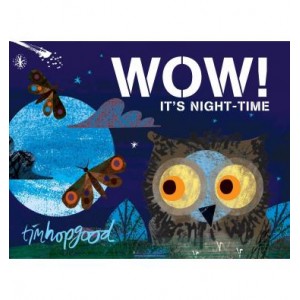 Книга WOW! Its Night-time Hopgood, T. ISBN 9781509829392