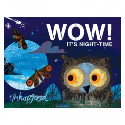 Книга WOW! Its Night-time Hopgood, T. ISBN 9781509829392 замовити онлайн