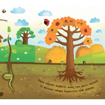 Моя перша енциклопедія : Як виростає дерево? Булгакова замовити онлайн