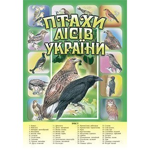 Птахи лісів України Комплект наочності