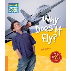Книга Why Does It Fly? ISBN 9780521137478
