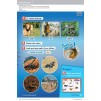 Підручник Guess What! Level 1 Pupils Book Reed, S ISBN 9781107526914 заказать онлайн оптом Украина
