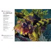 Підручник Our World 5 Students Book with CD-ROM Scro, R ISBN 9781285455556 замовити онлайн