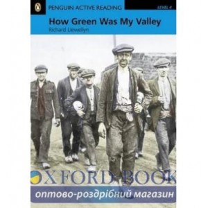 Книга How Green Was My Valley + MP3 CD ISBN 9781408261231