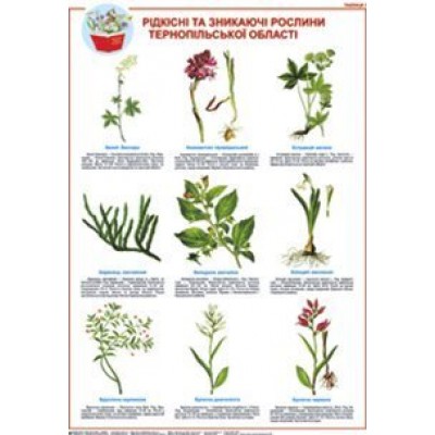 Дидактичний матеріал/Рідкісні та зникаючі рослини Тернопільської обл Таблиця 1 замовити онлайн