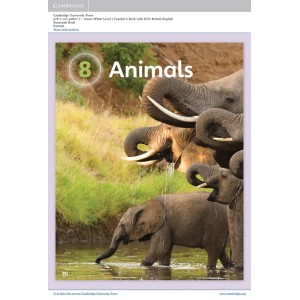 Книга для вчителя Guess What! Level 1 Teachers Book with DVD Reed, S ISBN 9781107528277