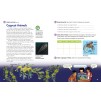 Підручник Our World 5 Students Book with CD-ROM Scro, R ISBN 9781285455556 замовити онлайн