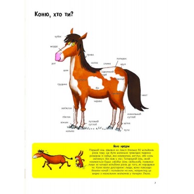 Несерійний : Усе про коней... і не тільки Антуанетта Делілль; ілюстрації: Грегуар Мабір заказать онлайн оптом Украина