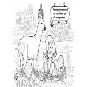 Книжка розмальовка Тварини : У лісі