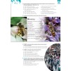 Підручник Insight Intermediate Students Book ISBN 9780194011082 замовити онлайн