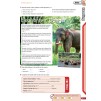 Підручник Metro 1 Students Book + Workbook Pack + Online Homework ISBN 9780194410175 заказать онлайн оптом Украина