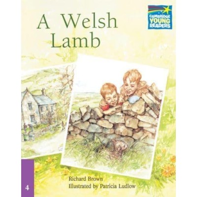 Книга Cambridge StoryBook 4 A Welsh Lamb ISBN 9780521674829 заказать онлайн оптом Украина