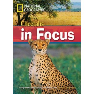 Книга B2 Cheetahs in Focus! ISBN 9781424011131