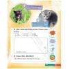 Книга Academy Stars for Ukraine Level 1 Pupils Pack ISBN 9781380025548 замовити онлайн