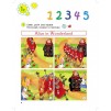 Підручник Smart Junior for UKRAINE 1 Students Book Pupils book Mitchell, H ISBN 9786180529043 замовити онлайн