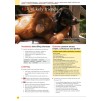 Підручник Life 2nd Edition Upper-Intermediate Students Book Dummett, P ISBN 9781337286121 заказать онлайн оптом Украина