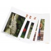 Картки Big English Starter Flashcards ISBN 9781447951056 замовити онлайн