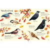 Книга с наклейками Birds to Spot Sam Smith, Stephanie Fizer Coleman ISBN 9781474952156 замовити онлайн