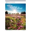 Підручник Guess What! Level 4 Pupils Book Reed, S ISBN 9781107545359 заказать онлайн оптом Украина