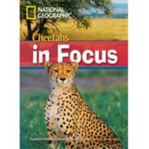 Книга B2 Cheetahs in Focus! with Multi-ROM Waring, R ISBN 9781424022199