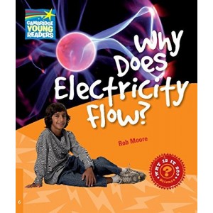 Книга Why Does Electricity Flow? ISBN 9780521137485