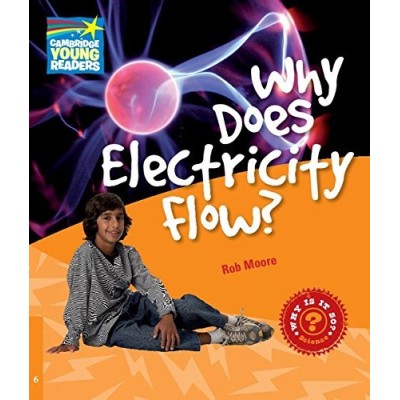 Книга Why Does Electricity Flow? ISBN 9780521137485 замовити онлайн