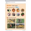 Підручник Guess What! Level 1 Pupils Book Reed, S ISBN 9781107526914 заказать онлайн оптом Украина