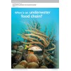 Підручник Guess What! Level 5 Pupils Book Reed, S ISBN 9781107545397 замовити онлайн