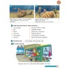 Підручник Super Minds 3 Students Book with DVD-ROM Puchta, H ISBN 9780521221689 заказать онлайн оптом Украина